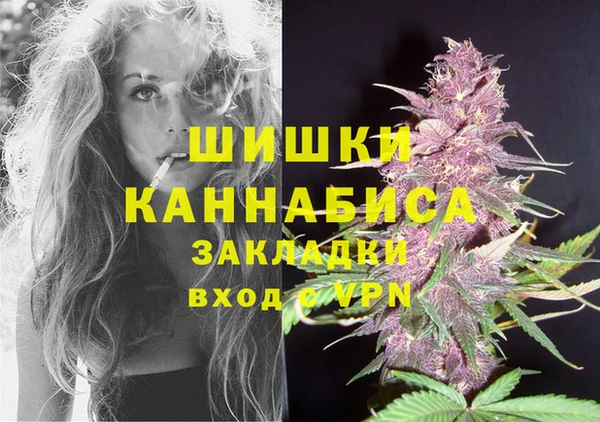 дмт Надым