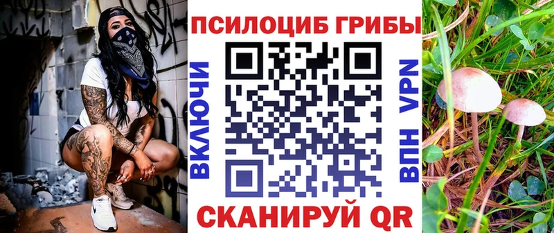 Псилоцибиновые грибы Psilocybe  MEGA маркетплейс  Карабаново 